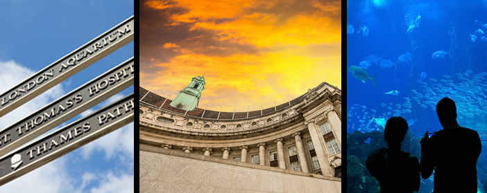 London Aquarium Tickets at Globelink International