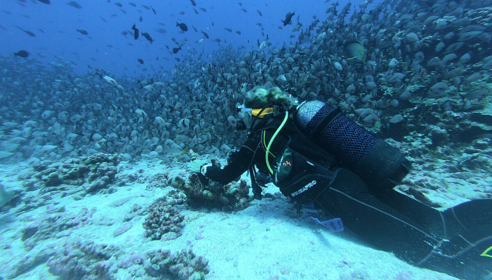 Scuba diving travel insurance