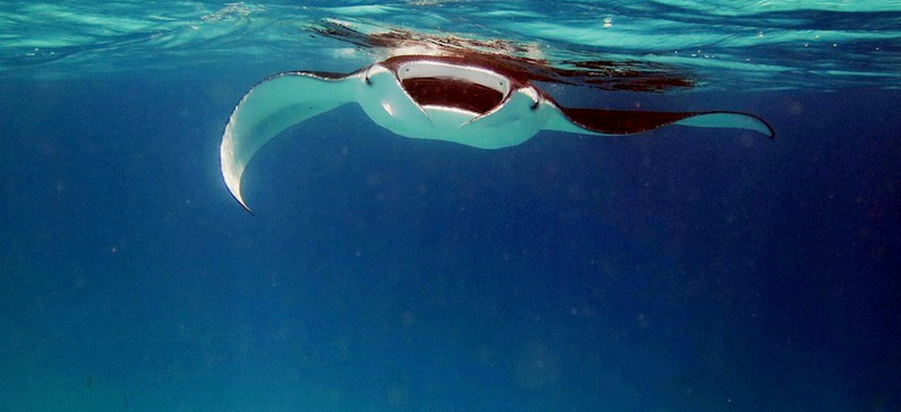 8 must see sea