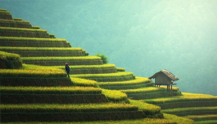 flower mountain