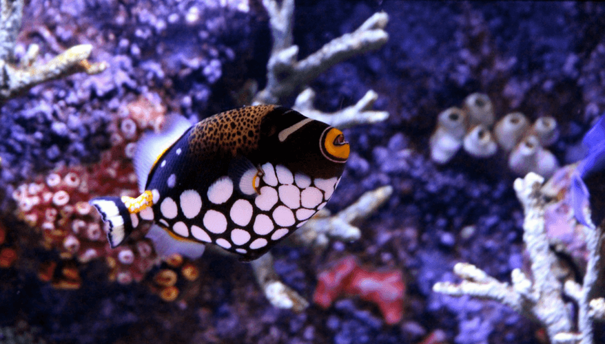 8 must see sea