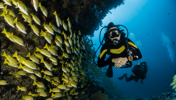 Diving Philippines