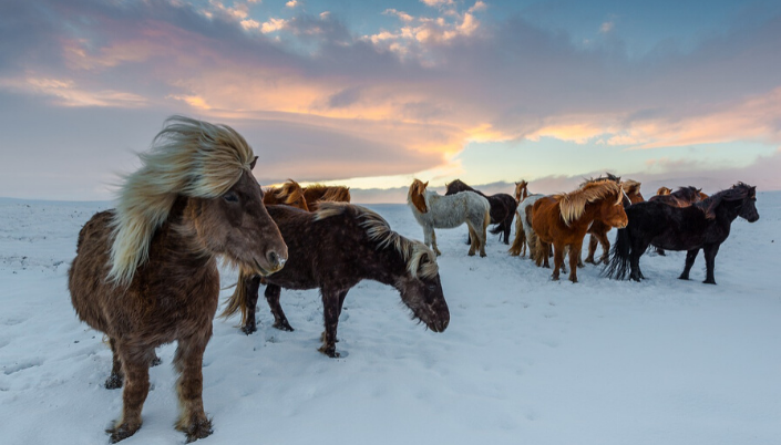 Iceland in winter