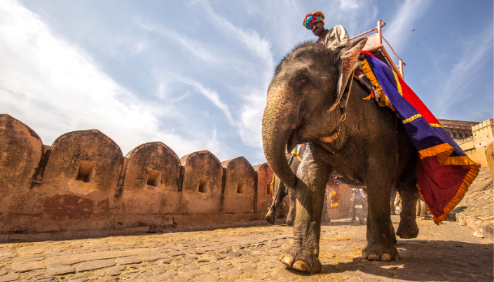 indian-elephant-rider