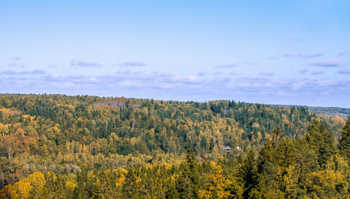 Latvia national park