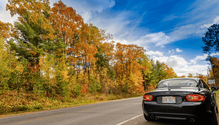 Michigan autumn