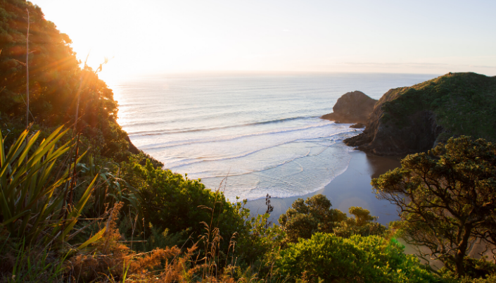 New Zealand beach