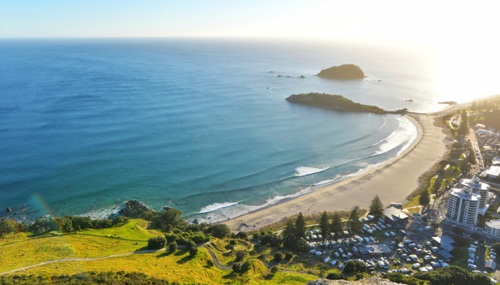 New Zealand gap year