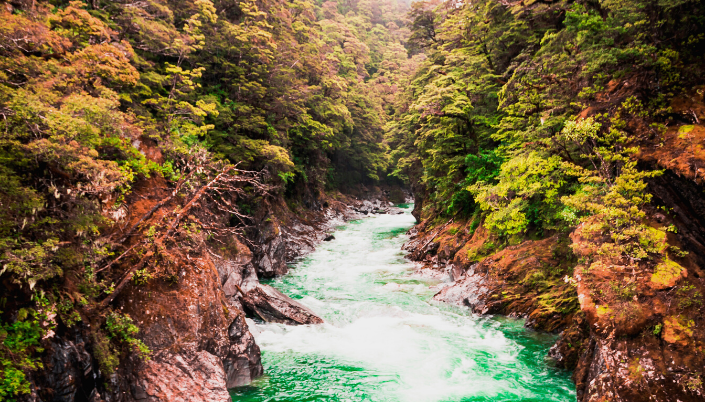 New Zealand national park