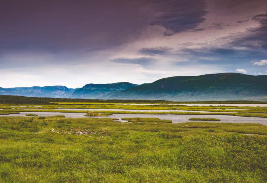 Most Scenic Long Distance Walking Routes in Canada 