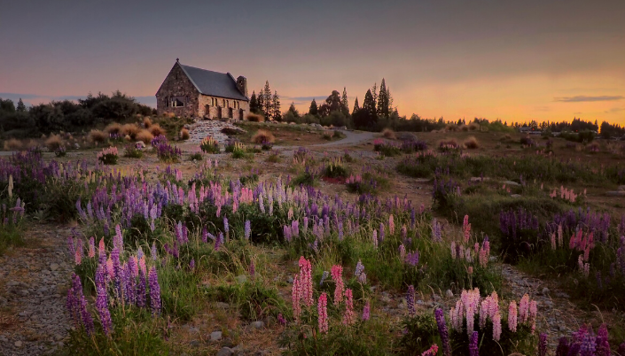 Planning a trip to New Zealand