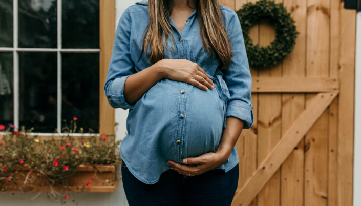 Pregnancy in the Netherlands