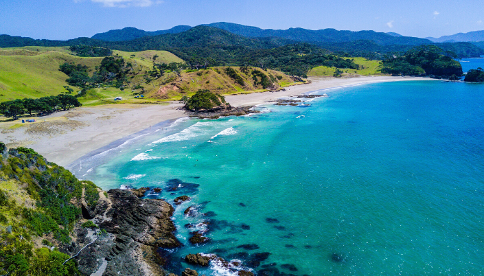 Sandy bay NZ