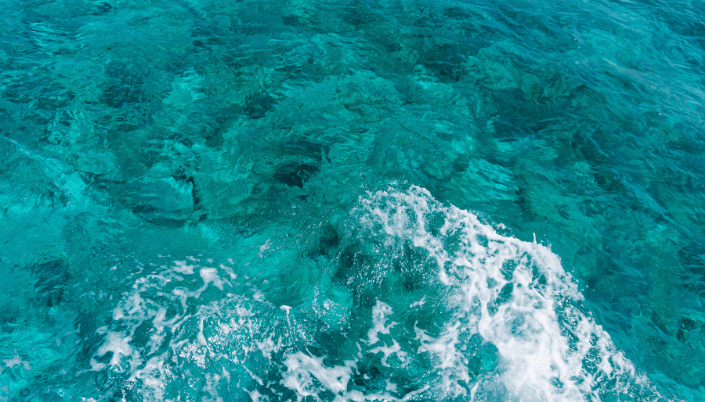 the caribbean diving