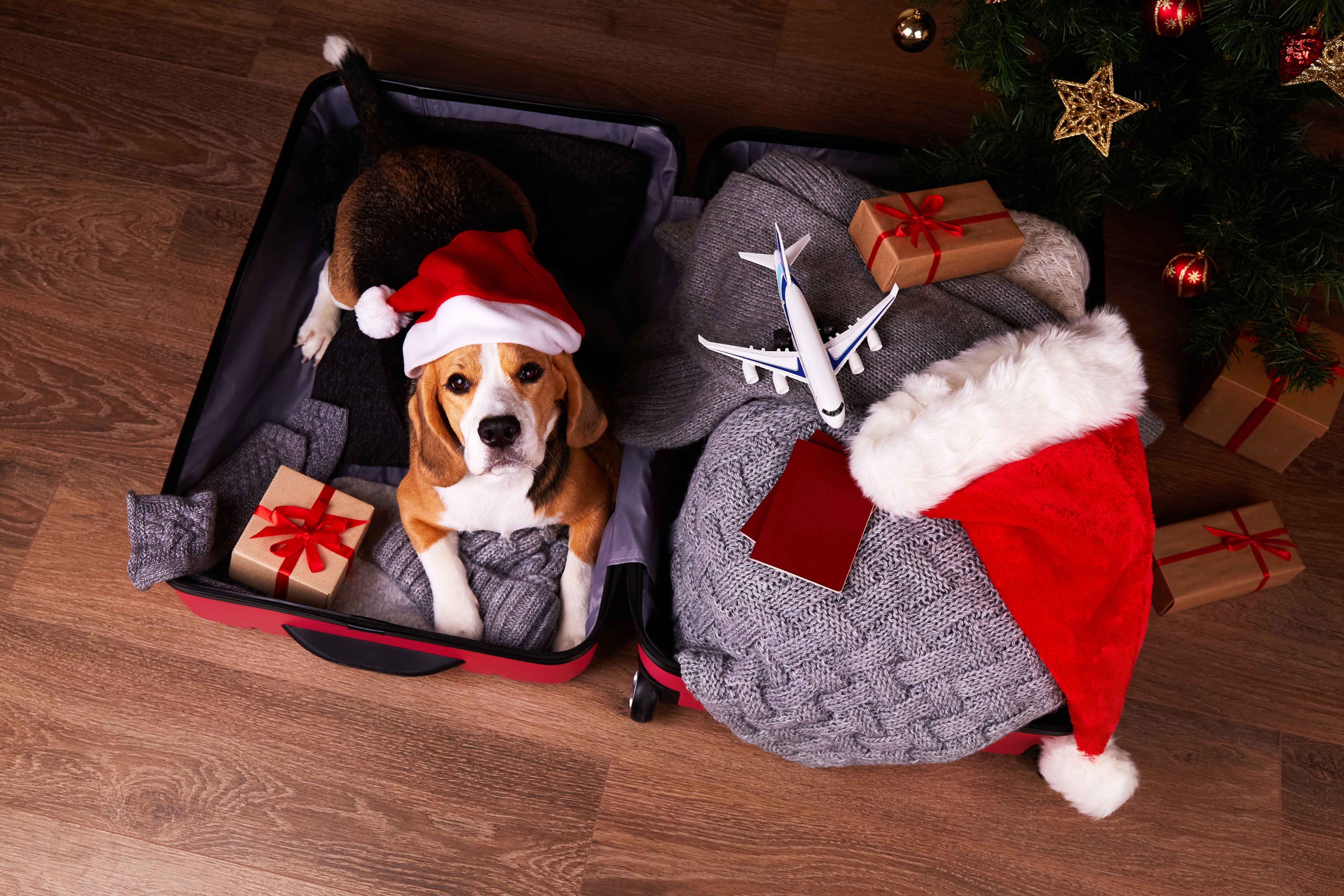 Holiday travel essentials with a Santa hat and decorations.