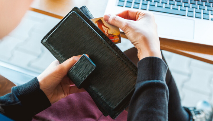 Travel Purse