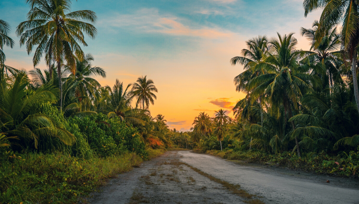 Tropical vaccination