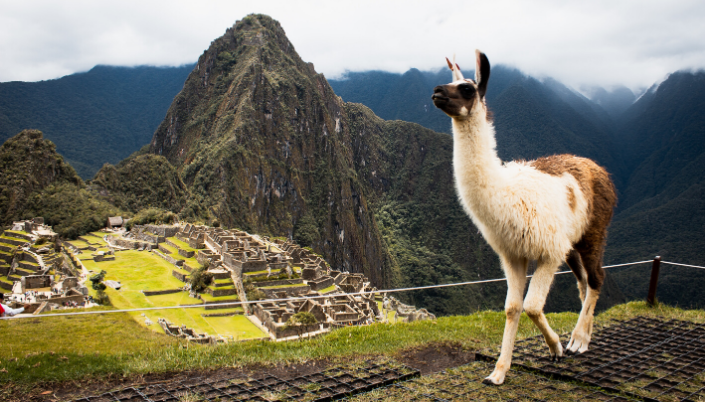 Visit Machu Picchu