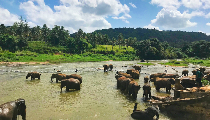 Visit Sri Lanka