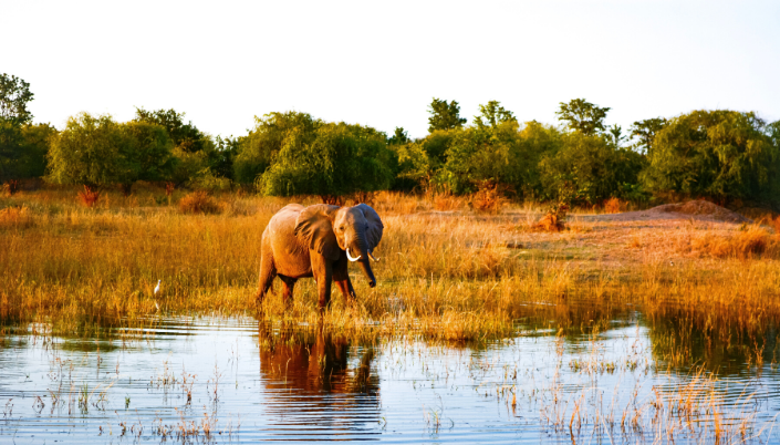 Zimbabwe visit